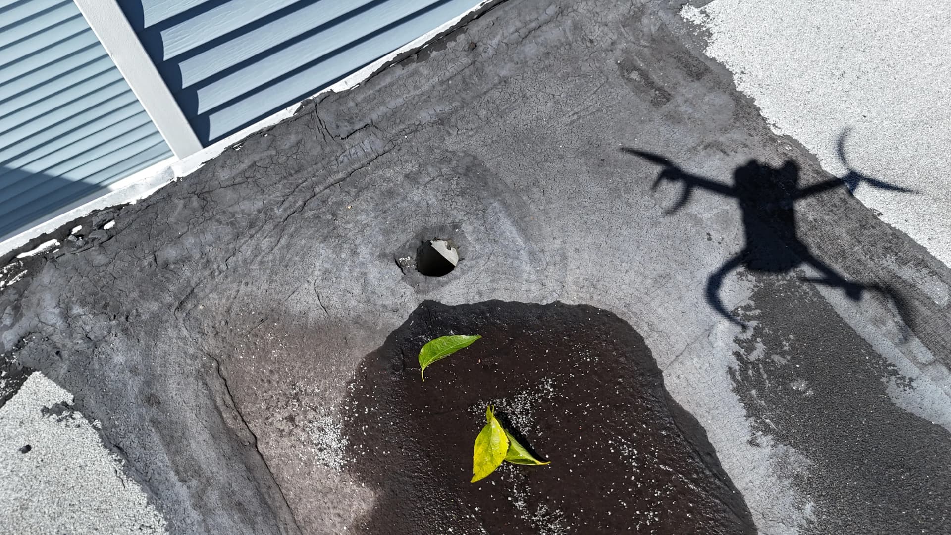 Flat Roof Replacement With Drain and Gutter Fix image