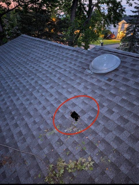 Tree Damage Repair Restores Roof in NY image