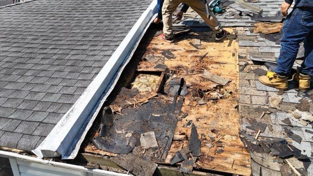 Swift Roof Repair with Plywood Replacement image