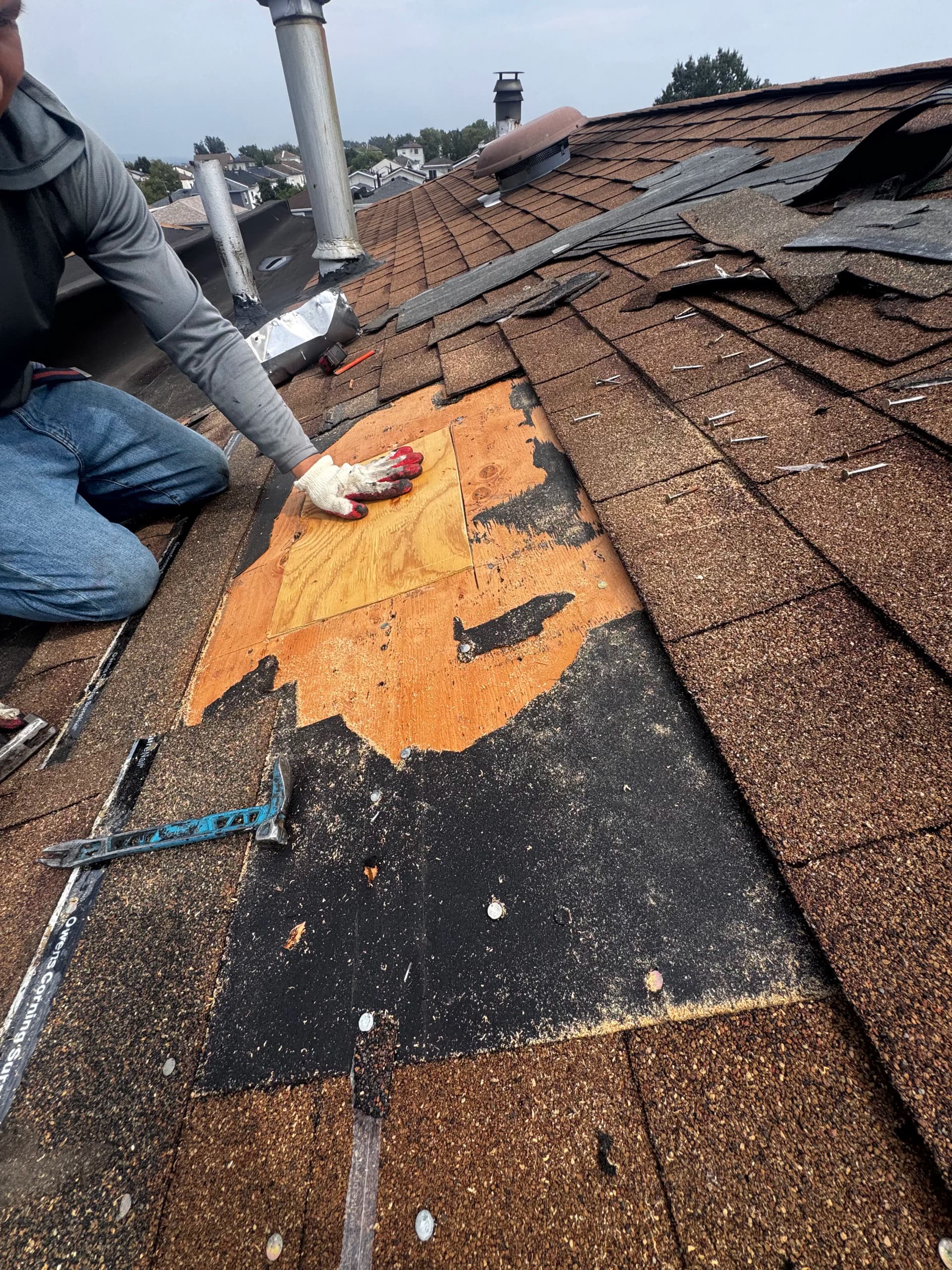 Gallery photos for Emergency Shingle Roof Repair That Stopped a Leak Cold: Image #2